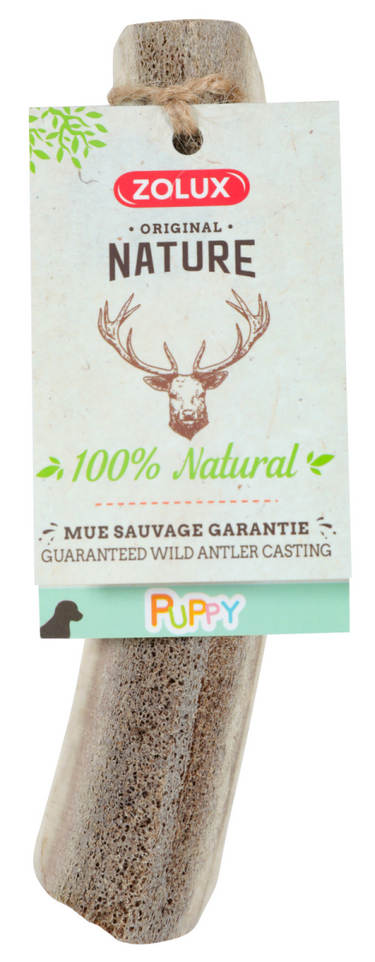 Natural Deer Antler for Puppy